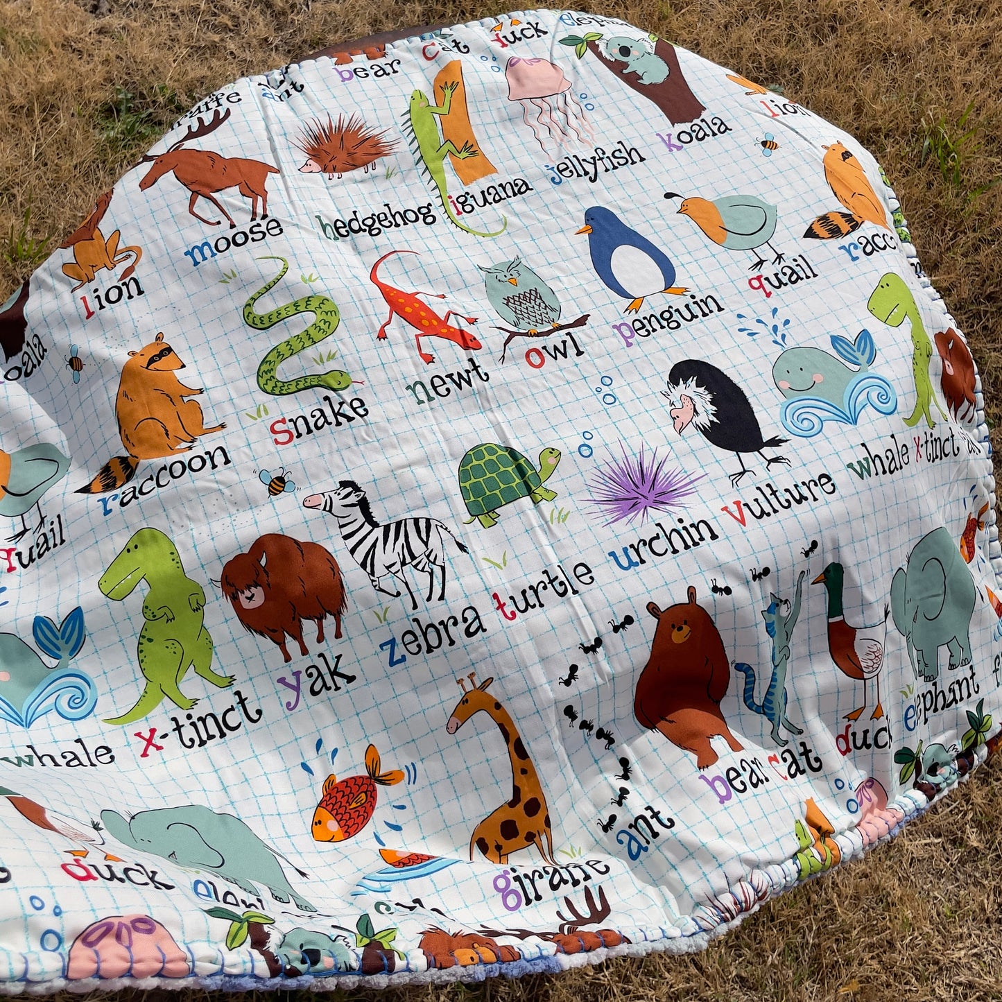 Animal ABCs Reversible Baby Blanket (Made to Order)